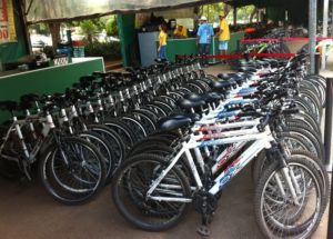 O Parque do Ibirapuera possui cerca de 300 bikes para locação (Foto: Marcus Oliveira )