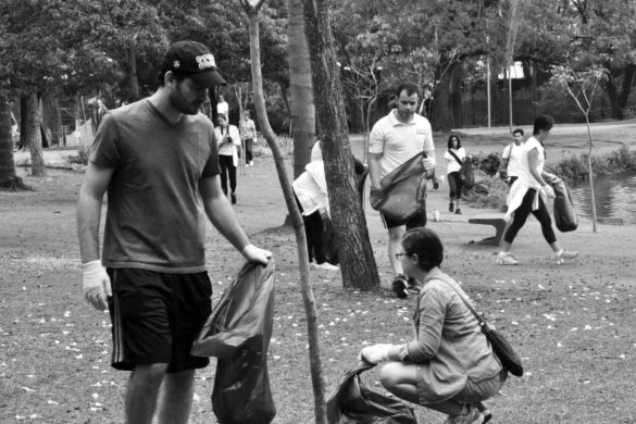 Um dos inúmeros mutirões de limpeza feitos por voluntários da ONG Parque Ibirapuera Conservação