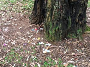 Imagem de camisinhas jogadas no chão do parque (crédito: Michel Friedhofer)