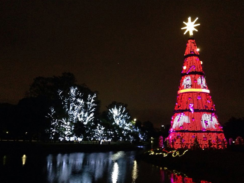 Árvore de Natal ou comercial de Natal? - Informações sobre o Parque  Ibirapuera